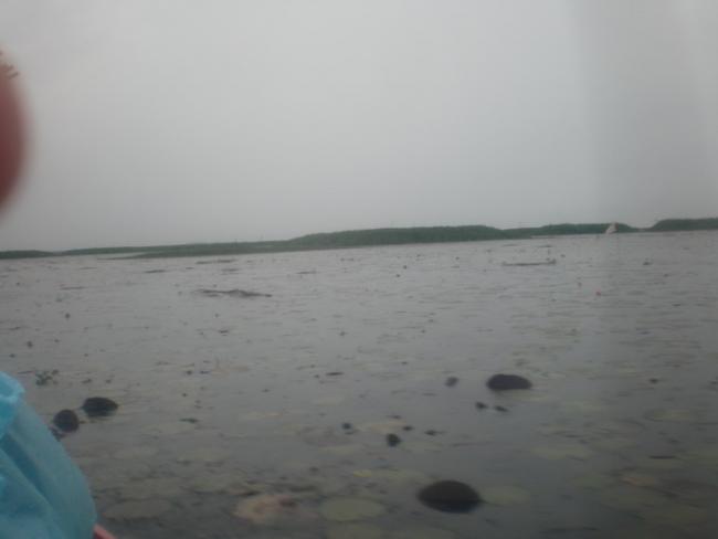 SANY7405.jpg